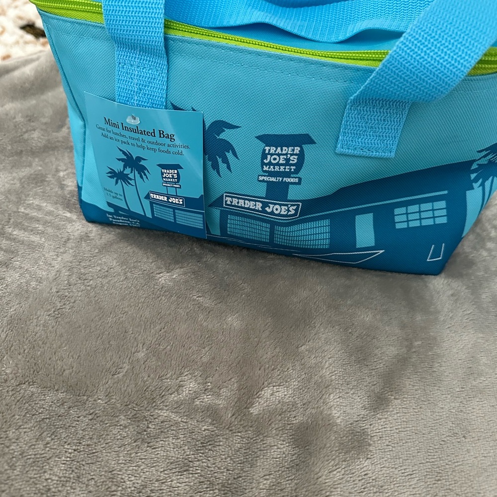 Trader Joe's Blue Mini Insulated Bag